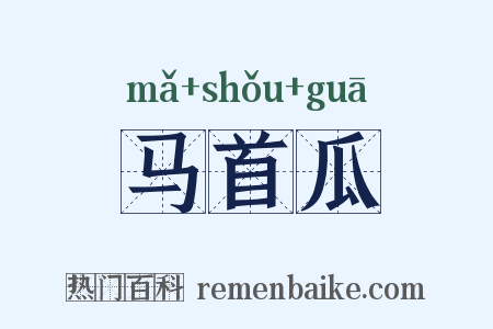 马首瓜是什么意思的图片